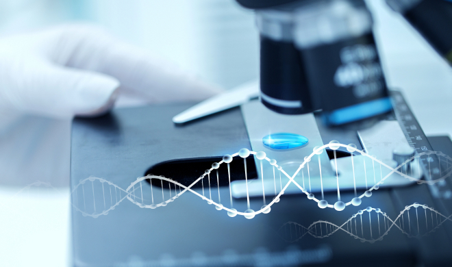 노화 정밀 검진 프로그램