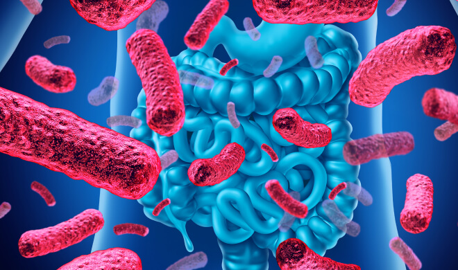 노화 정밀 검진 프로그램