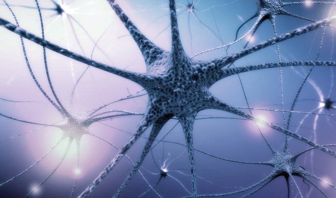 노화 정밀 검진 프로그램