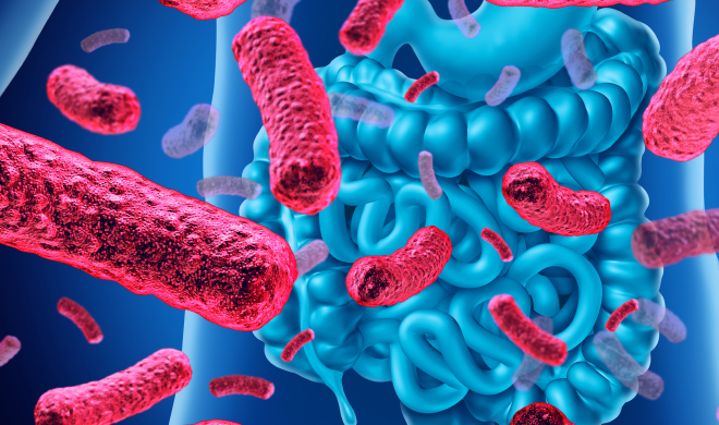 수액치료 전 검사 프로그램