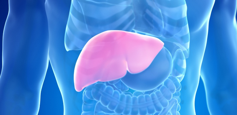 간기능개선 / 숙취 주사