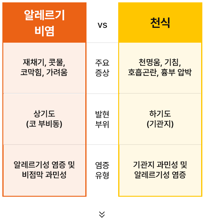 알레르기 비염과 천식의 연관성