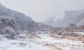 차고 건조한 공기