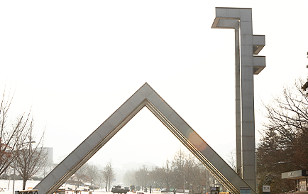 서울대학교병원 출신 의료진