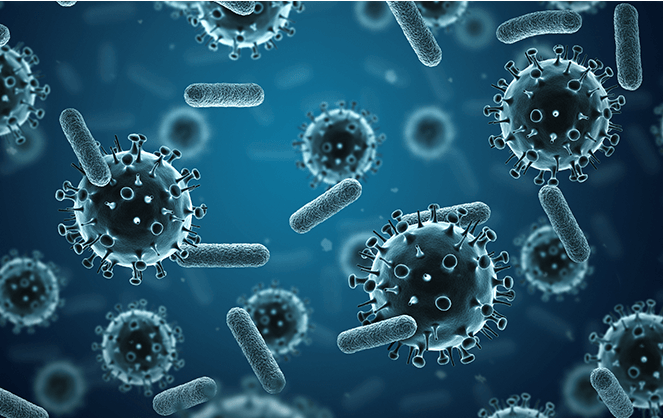 장내미생물 유전자 검사