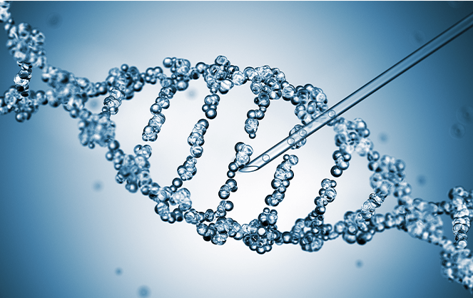 영양소 대사 및 유전인자 검사