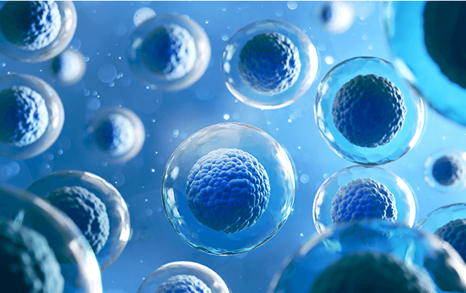 텔로미어 생체나이 검사