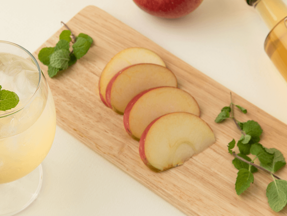 유지치료 / 생활코칭