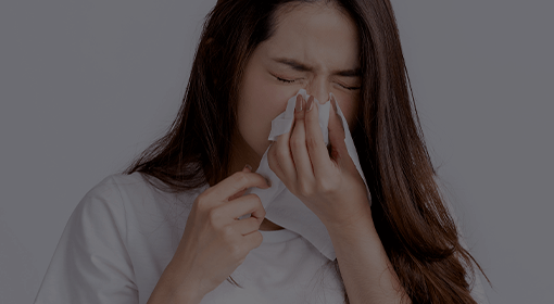 코 알레르기