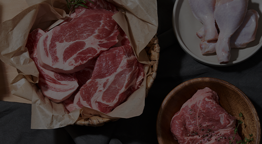 lgG4 지연성 음식 알레르기