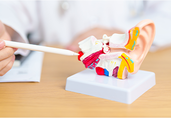 양성 돌발 체위 현기증, 메니에르, 전정신경염, 외림프누공 등