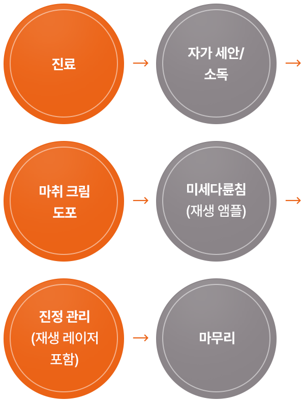 시술 과정
