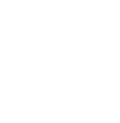 십자인대파열 주요증상