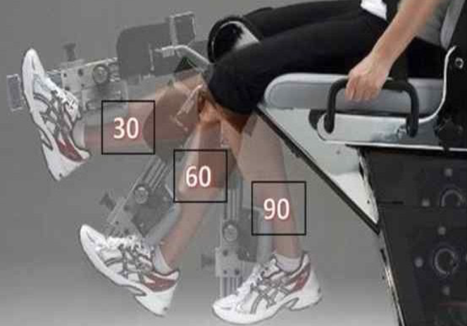 등척성 근력 검사