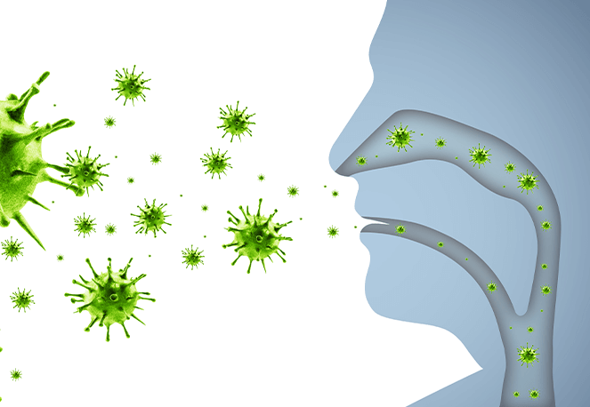 호흡기세포융합바이러스